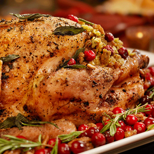 Cranberry and pistachio stuffed turkey