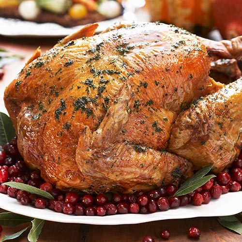 Cranberry turkey