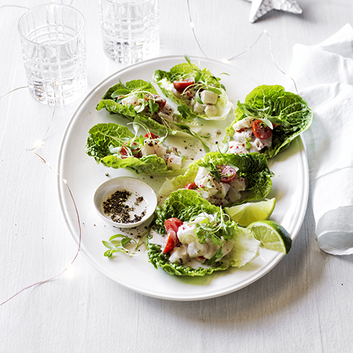Summer ceviche