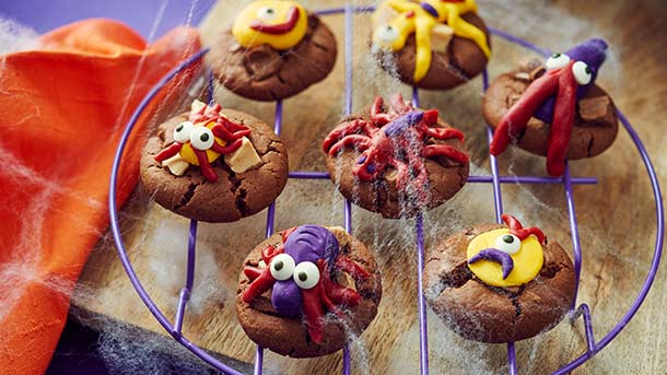 spidercookies