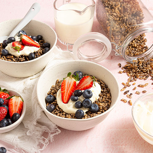 homemade cocoa snap cereal